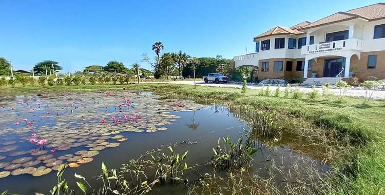 hotel resort accommodation at the red lotus sea